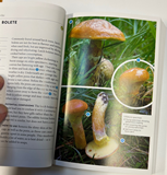 Mushroom Foraging Guide ISBN 978-1-9999222 